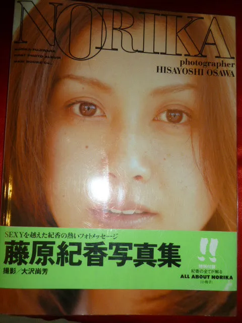 Norika Fujiwara Gravure Book All About Norika