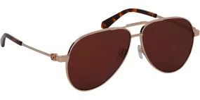 Off-White Ruston L Sunglasses Gold/Brown/Brown
