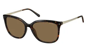 POLAROID-PLD 4043/S-NHO-5717-SUNGLASSES